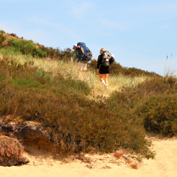  Two people are hiking on Randbøl Heath