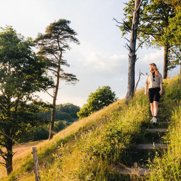 A person goes for a walk at Runkenbjerg in Egtved Ådal