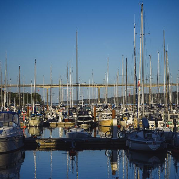 Lystbådehavnen i Vejle ved Vejles havnefront