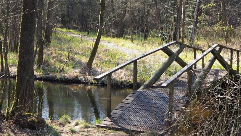 Gødding Skov bro over å