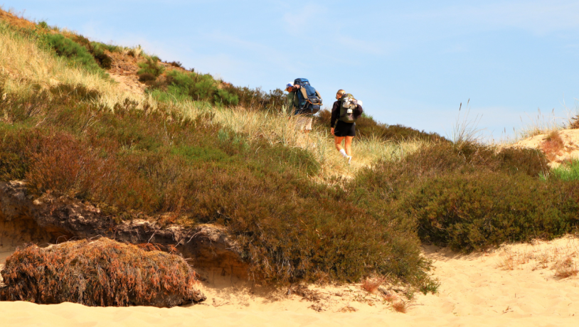  Two people are hiking on Randbøl Heath