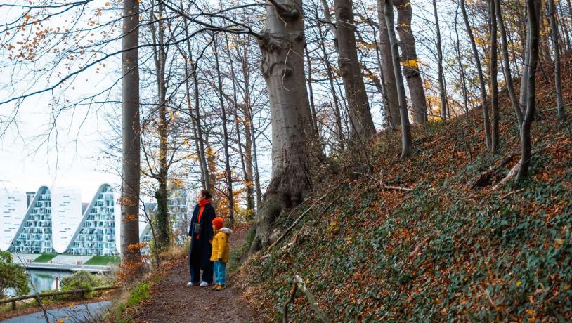 Mor og barn på gåtur i Vejles skove