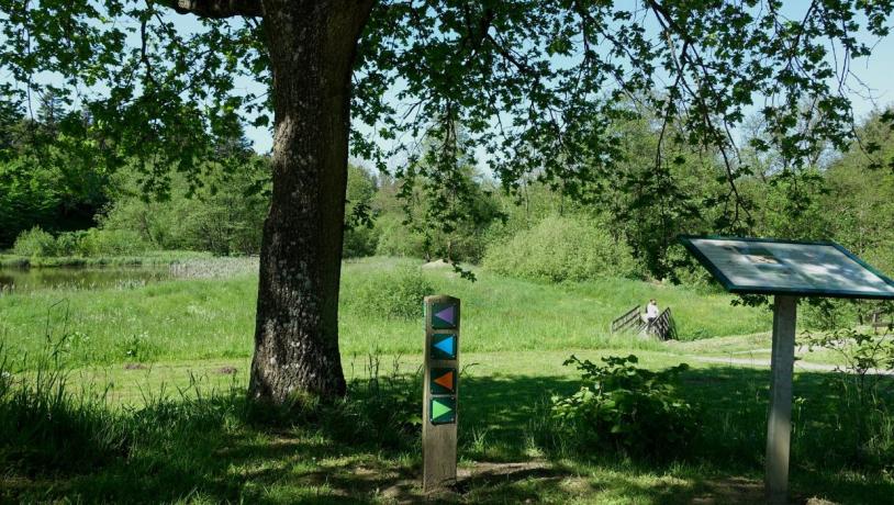 Several routes to walk at Kærlighedstien in Børkop