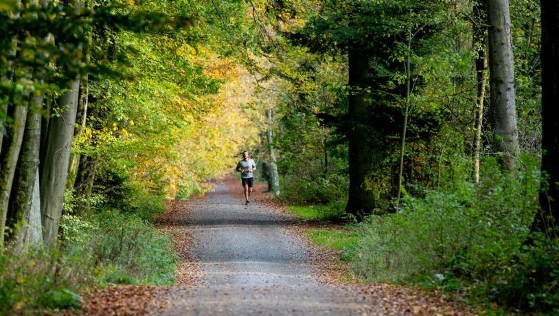 A runner who takes a run in Sønderskoven Forest in Vejle