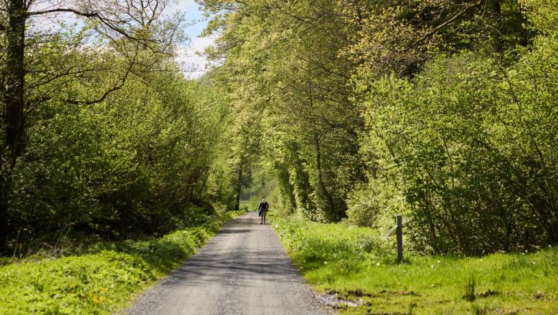 A person walks along Hærvejen near Ravningbroen on a spring day