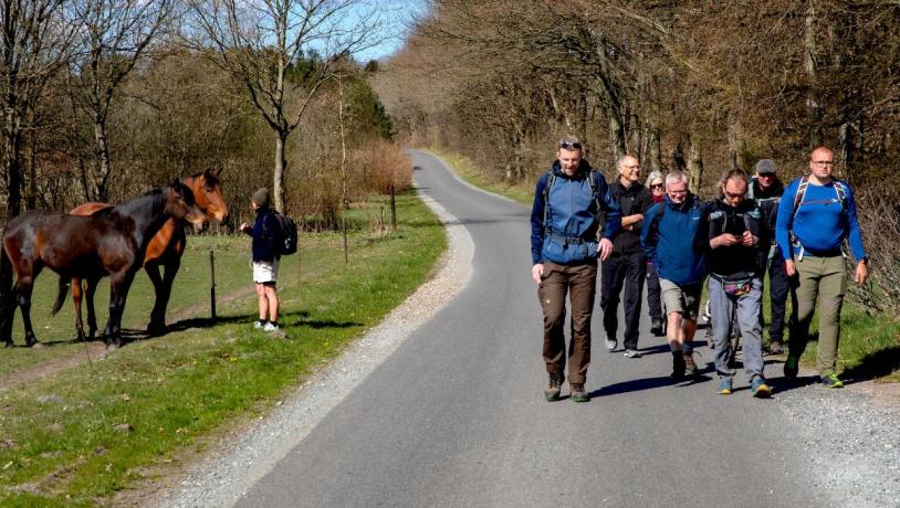 A group of people whike along the hiking route Rans Togt