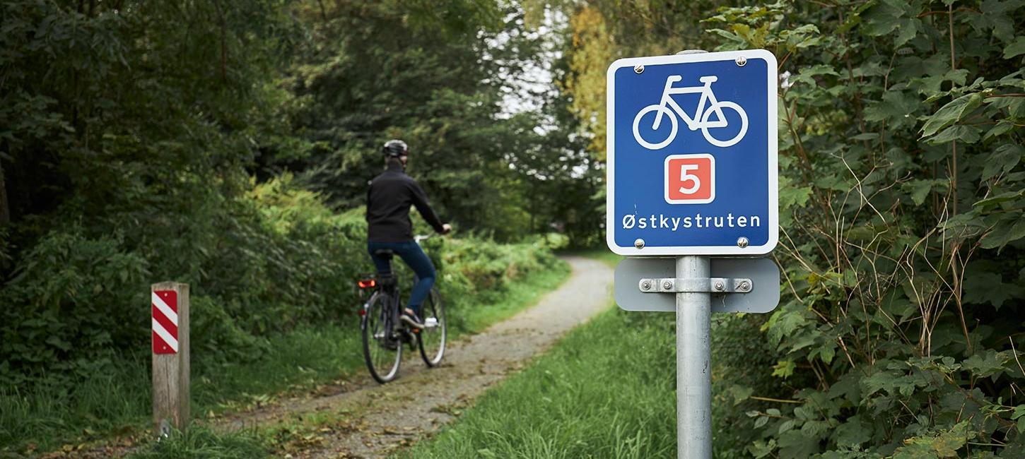 Person cycling along the East Coast Route at Børkop