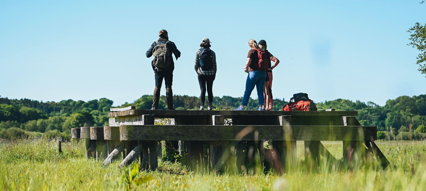 Four on a hike standing on Ravningbroen by Hærvejen