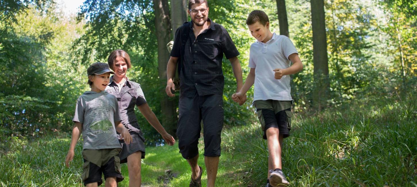 Family on a trip to the Munkebjerg Forest on a summer day