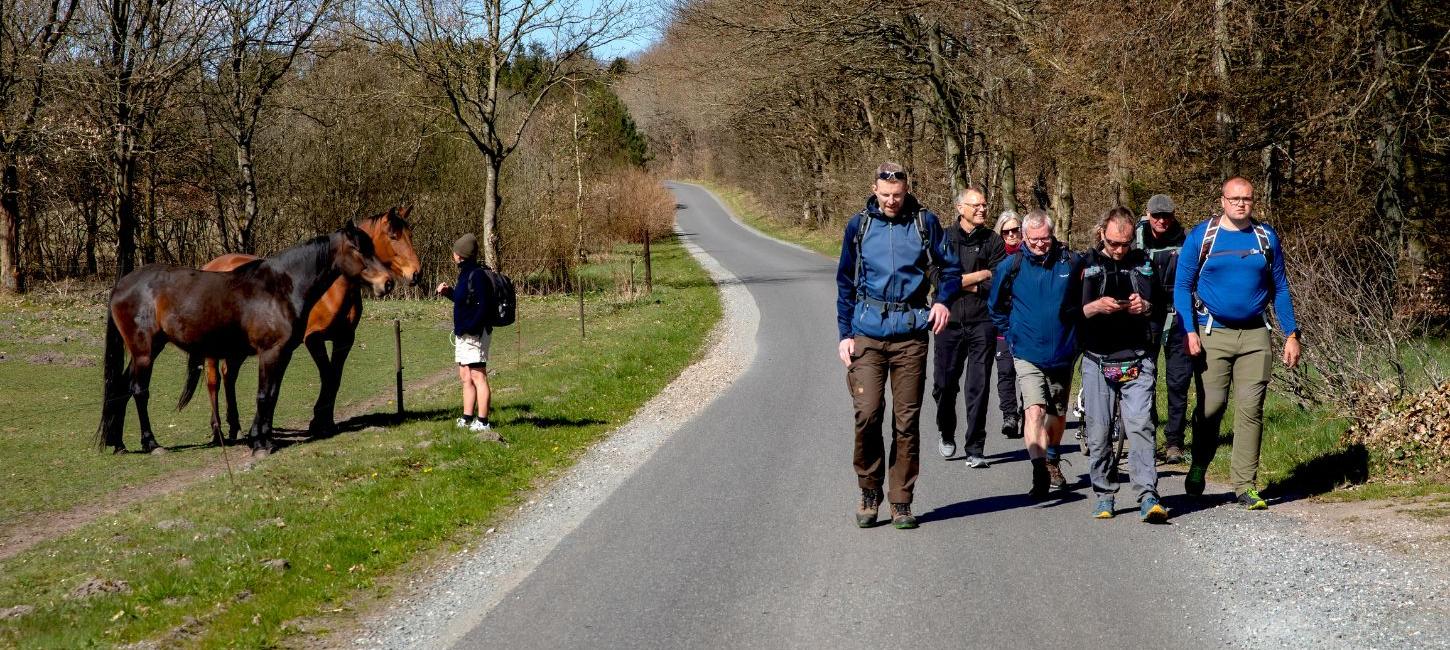 En flok mennesker vandrer langs vandreruten Rans Togt 