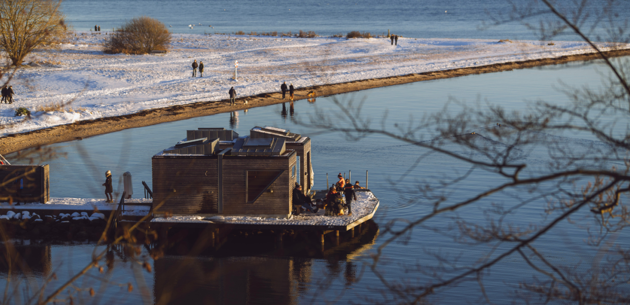 Tirsbæk Beach by Vejle Fjord on a winter day