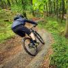 A person rides a mountain bike on the track in Sønderskoven