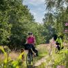 Cyclists on Hærvejen at the source of the Gudenåen with flowers in the foreground