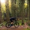 Cyclist on a mountain bike on the mountain bike track in Nørreskoven