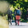  Five hikers on Hærvejen on a summer day