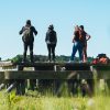 Four on a hike standing on Ravningbroen by Hærvejen