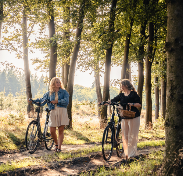 Two women on a mushroom tour in the forest with bicycles