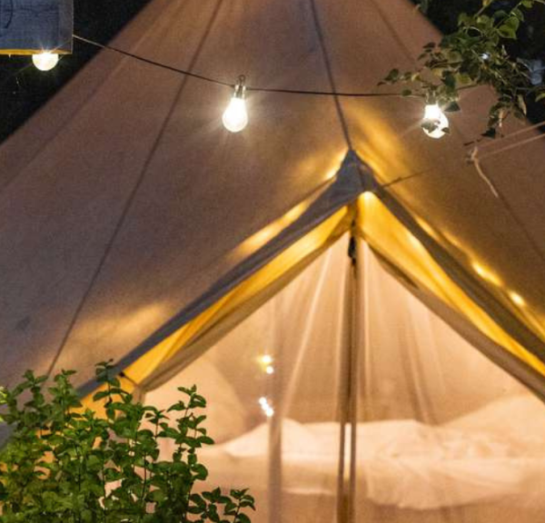 Glamping-telt ved Egtved Camping