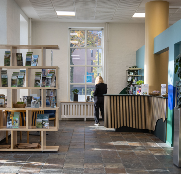 Sun light into the new tourist office