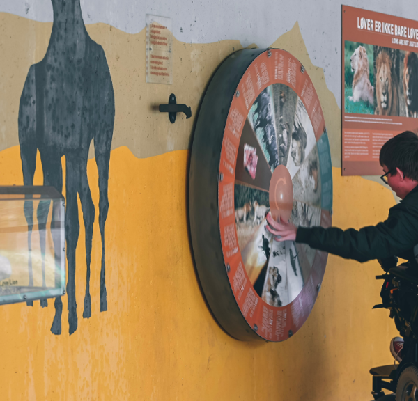 Boy exploring the exhibition at GIVSKUD ZOO