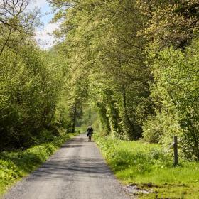 A person walks along Hærvejen near Ravningbroen on a spring day