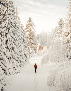 A person on a walk in the snow-covered landscape in Kollemorten
